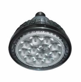 LED SpotLight PAR38 12x2W